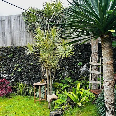 Portugal House Villa Praia do Norte Exterior photo