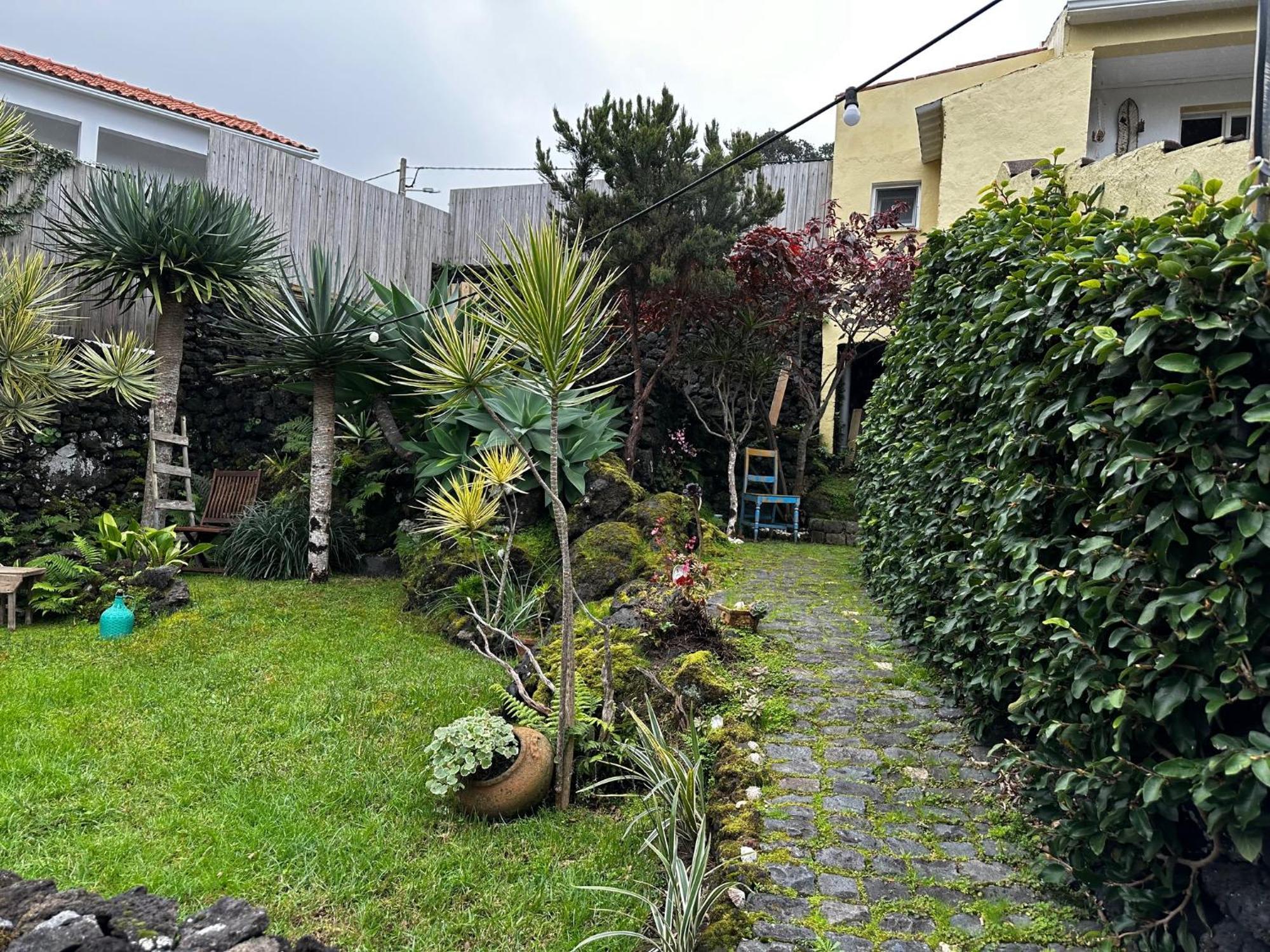 Portugal House Villa Praia do Norte Exterior photo