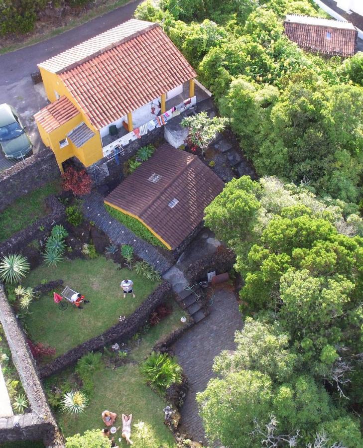 Portugal House Villa Praia do Norte Exterior photo
